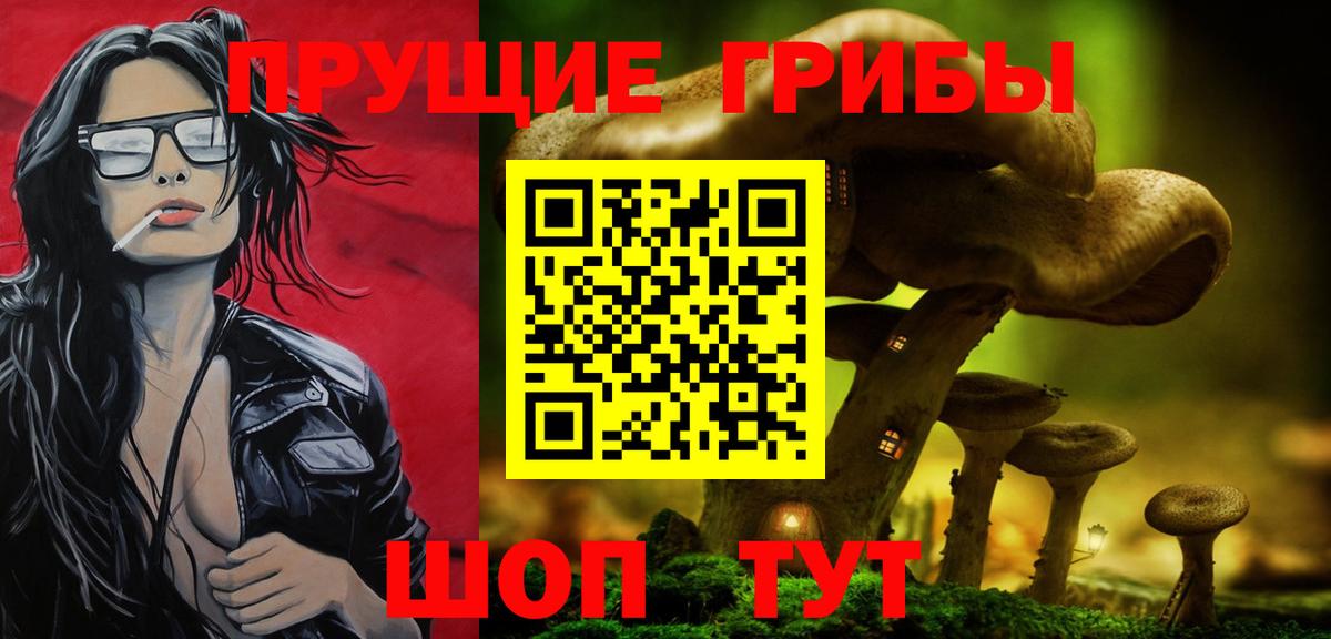 Чусовой  Галлюциногенные грибы прущие грибы  Вход с VPN  Галлюциногенные грибы GOLDEN TEACHER 